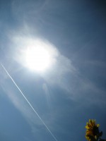 /album/fotogallerij/a2012-08-12-11-06-07-0041-jpg/